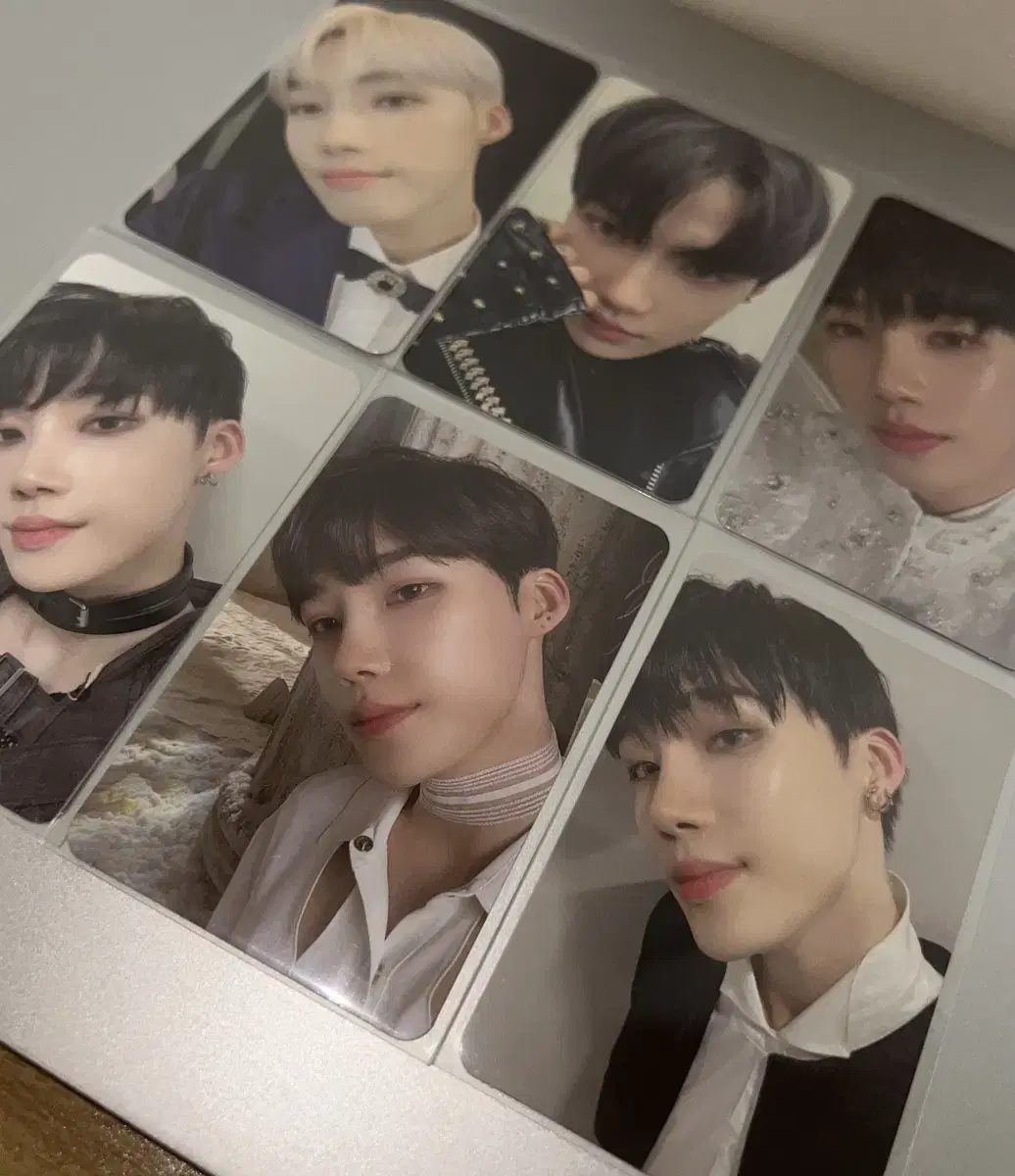 더보이즈 뉴 킹덤 포카 양도합니다