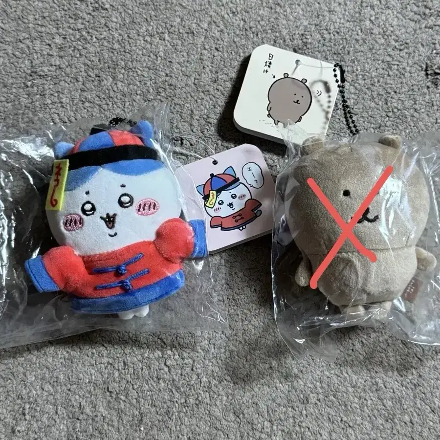 강시 하치와레 태닝곰 태닝 농담곰