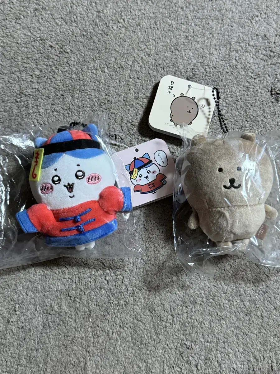 강시 하치와레 태닝곰 태닝 농담곰