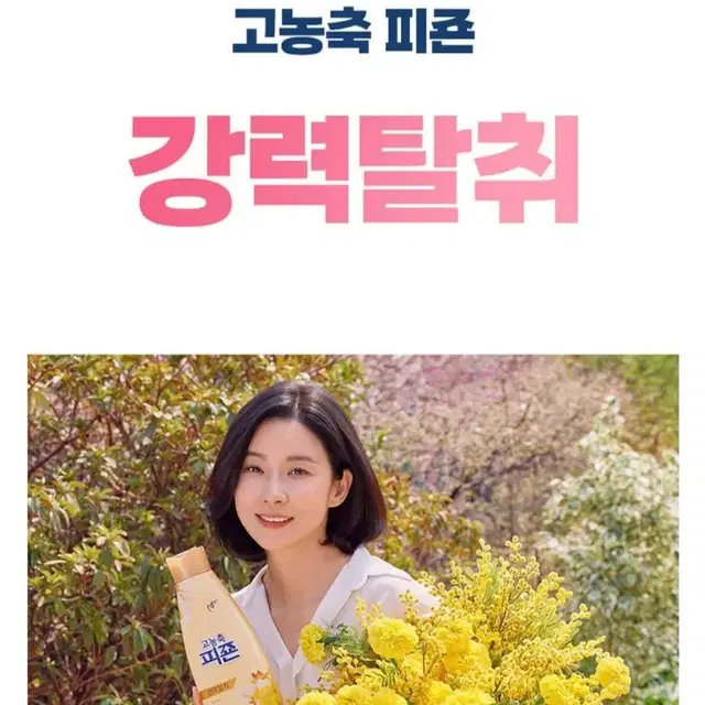 고농축피죤강력탈취오리지널오션후레쉬섬유유연제 6LX2개 19590원