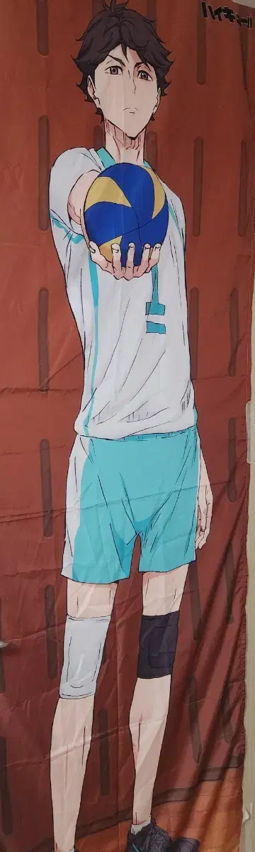 Oikawa 2M Tepi