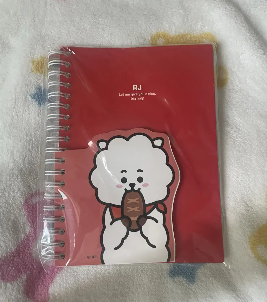 BTS/BT21 Aljay Spring Notes