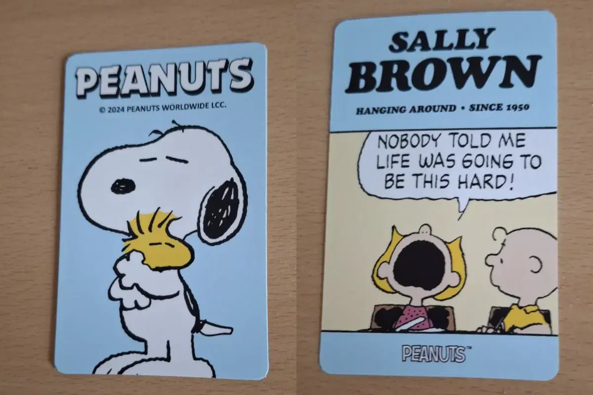 Snoopy Photo Cards, Stickers