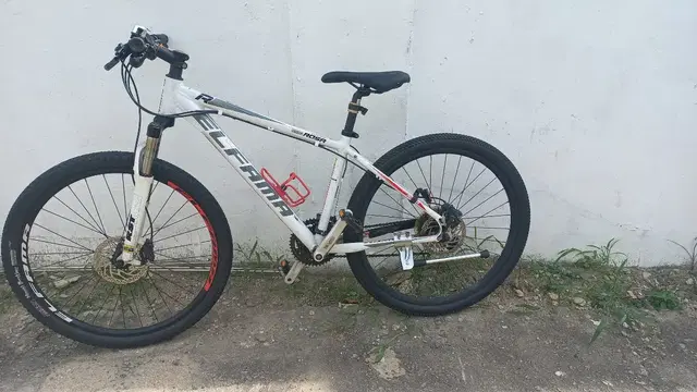 엘파마 MTB