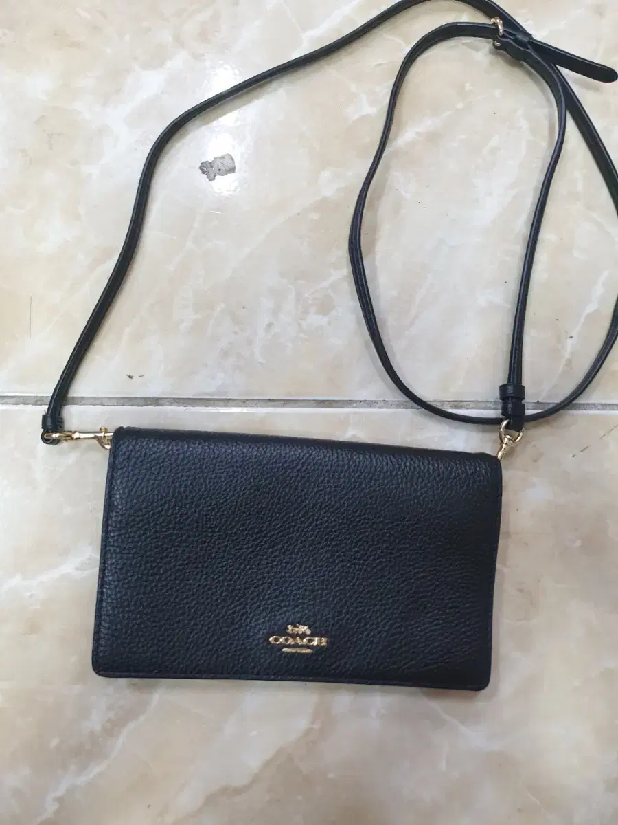 Coach Clutch Crossbody Bag W20 H12 D12