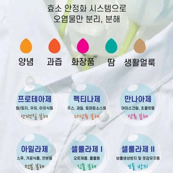 고농축 세탁세제제가 1+1 ????