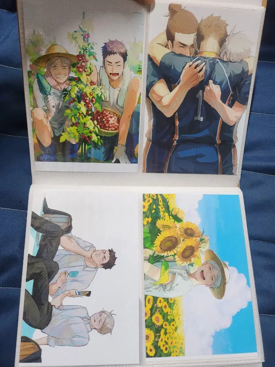 Haikyuu Sugawizu postcard Pvak bulk Sell 10 tickets