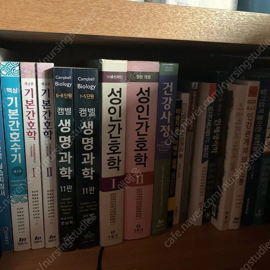 간호학과 전공 교양 서적 판매 현문사 고문사 은학사 수문사 정문각 동문사