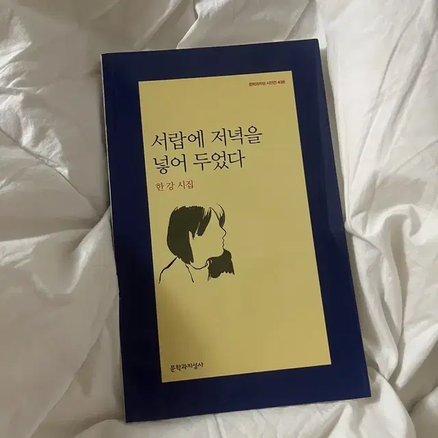 한강 시집