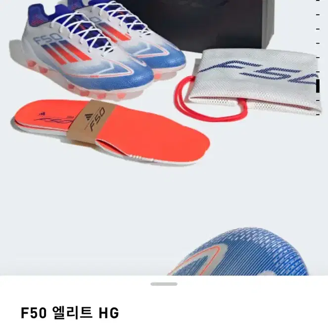 F50 엘리트 HG