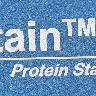 eStain 2.0 Protein Staining 단백질염색기.