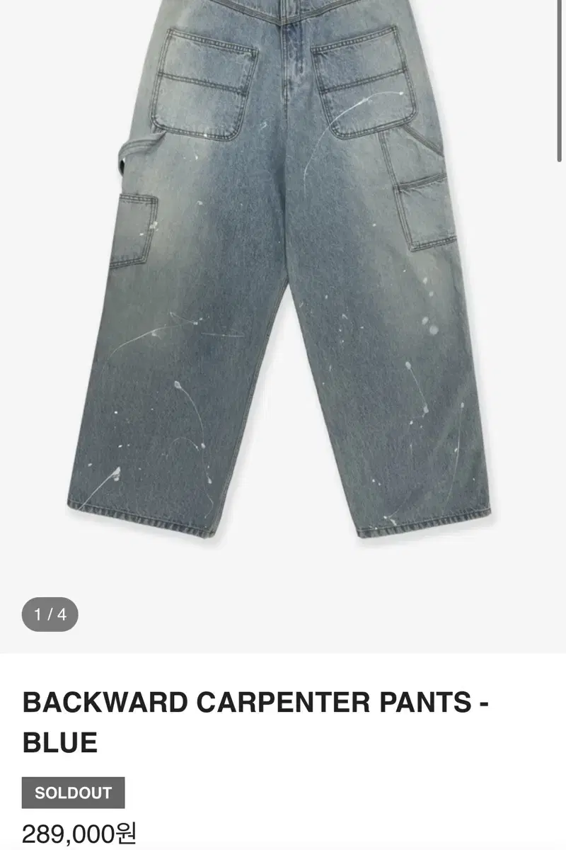 Project GR Backward Carpenter Denim Pants for sale.