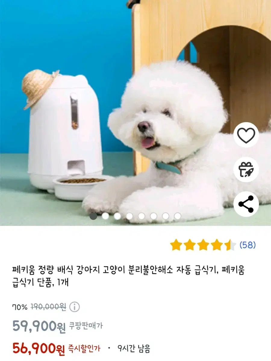 페키움자동급식기