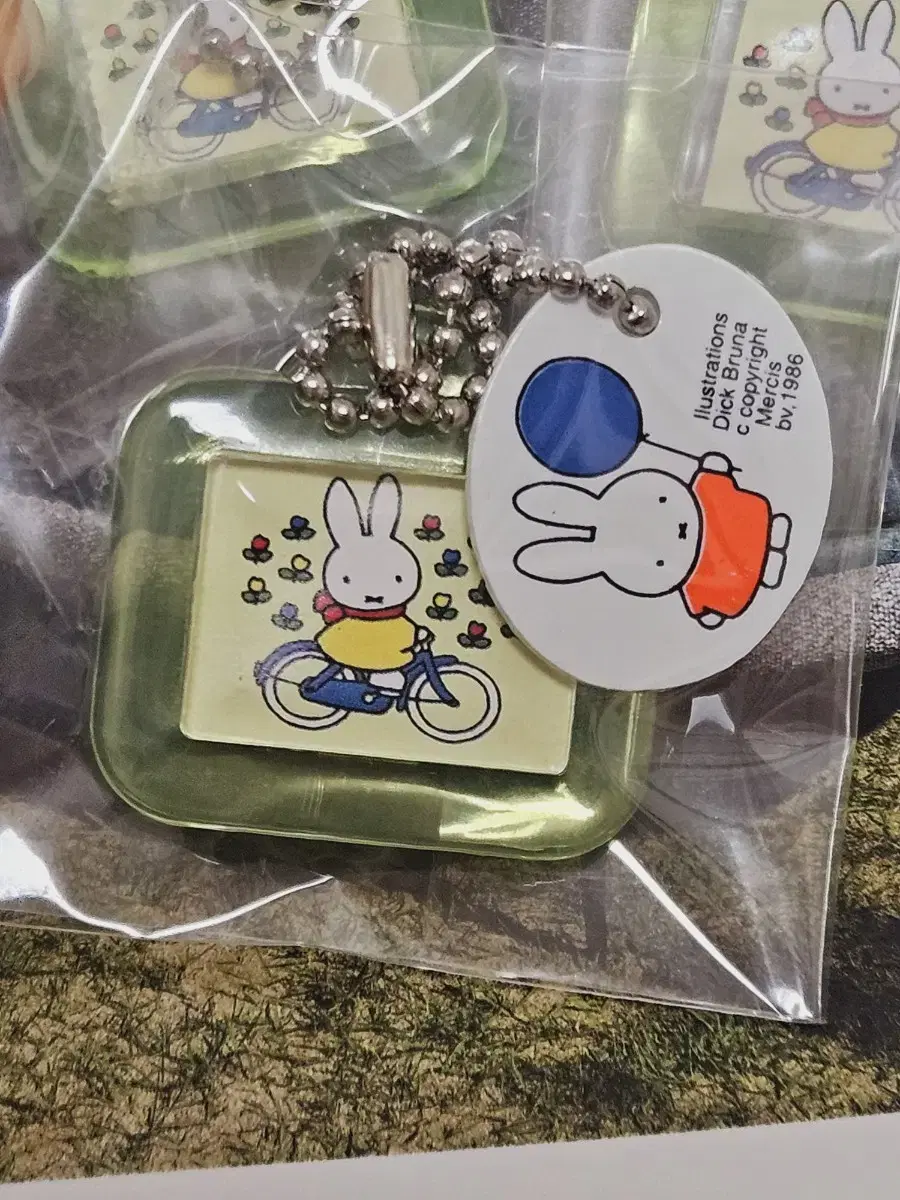 [archaic phrase]Miffy nametag keyring