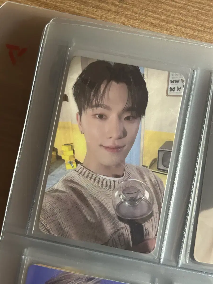 2024 Caratland carrot zone photocard dino WTS