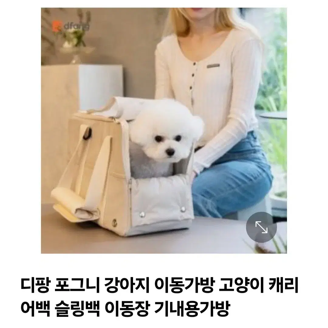 강아지 이동가방