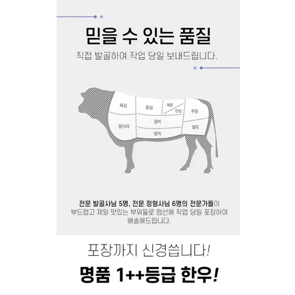 [무배/선물용/800g] 한우 투뿔 꽃등심 채끝 부채살 불고기 선물 세트