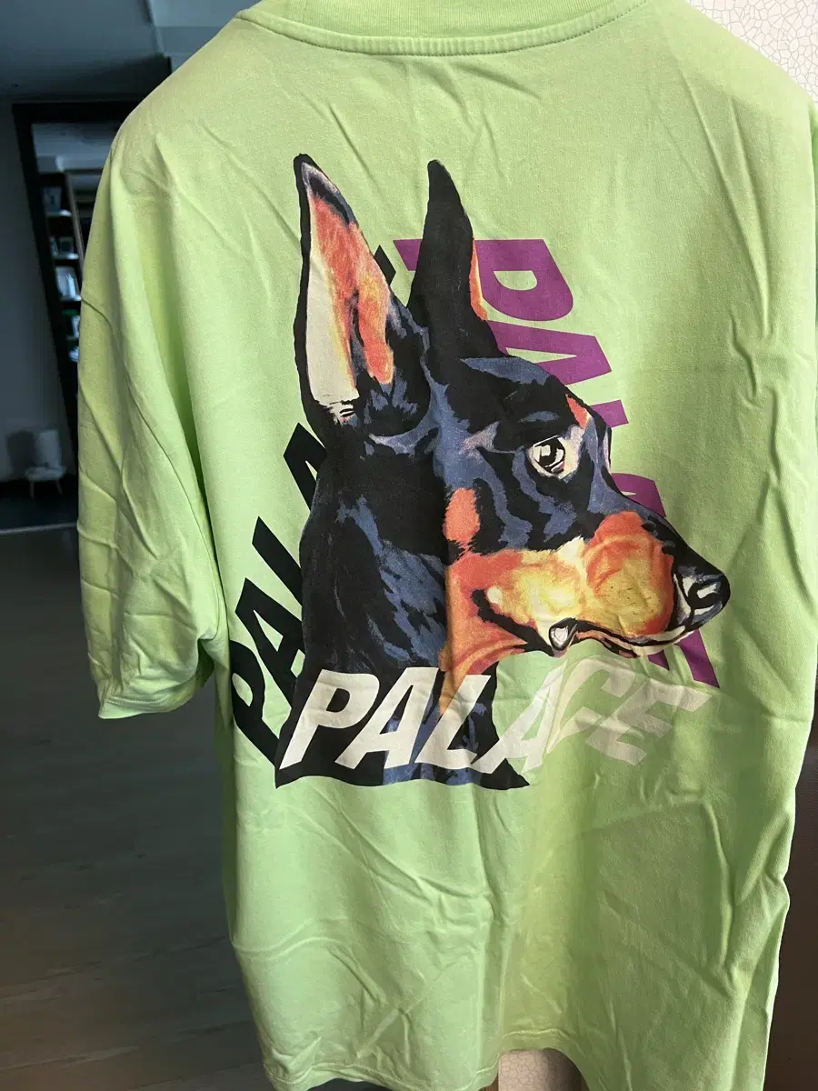 Pallas Vahn XXL sells