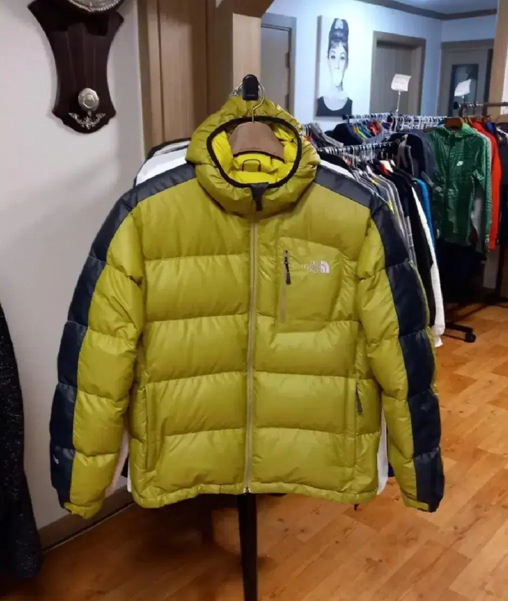 Men's The North Face Goose Down Puffer Jumper 700 (100)