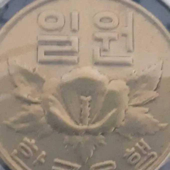 희귀동전