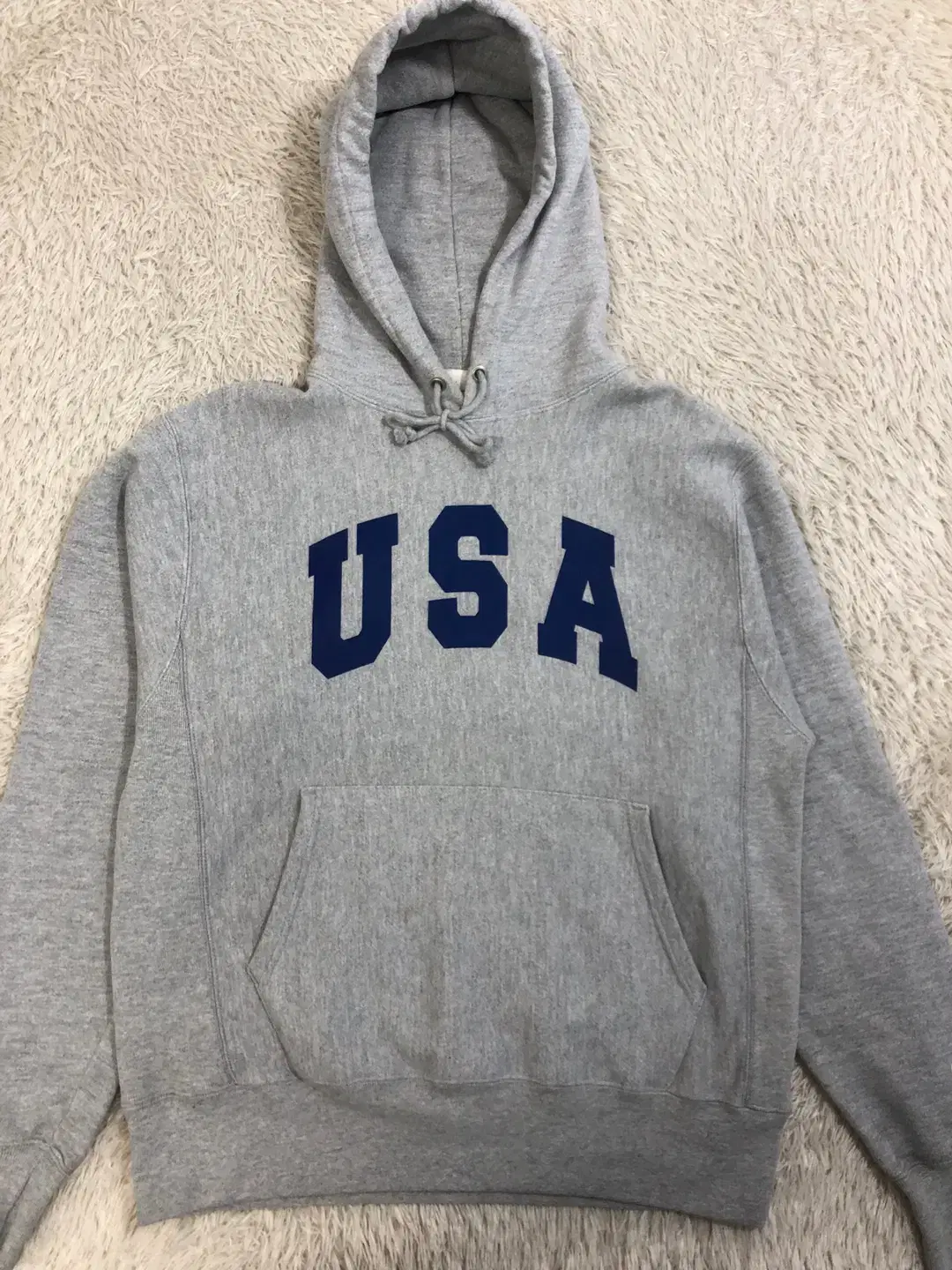 Champion Reverse Weave Hood/USA/#340