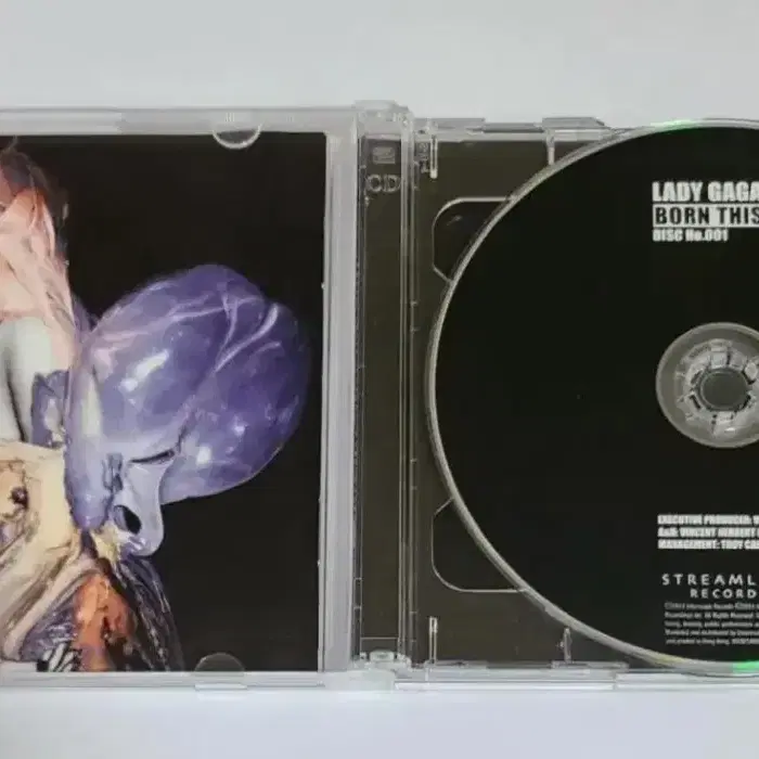 레이디 가가 Born This Way 스페셜 에디션 앨범 시디 CD