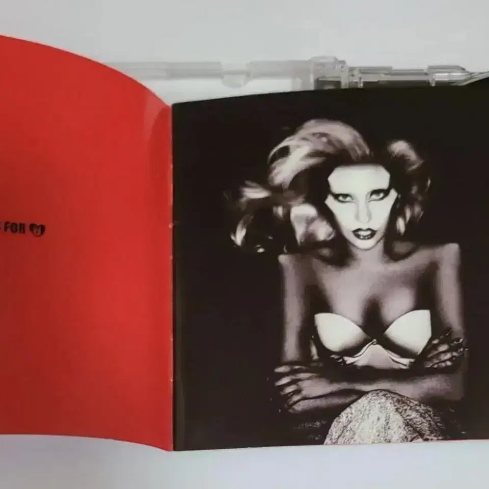 레이디 가가 Born This Way 스페셜 에디션 앨범 시디 CD