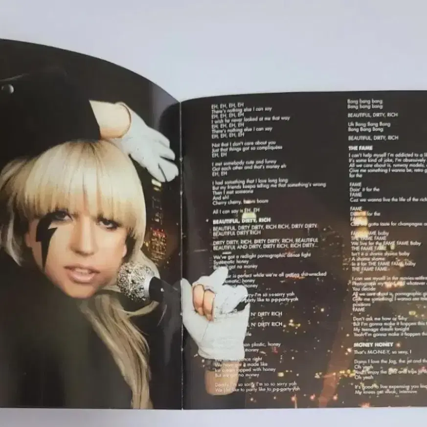 레이디 가가 The Fame 앨범 시디 CD