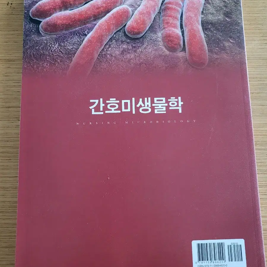 간호미생물학