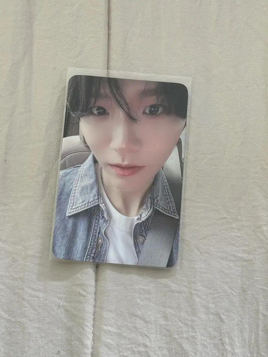 NCT wish Jaehee Songbird Dear My Muse DeMaMu unreleased photocard LD