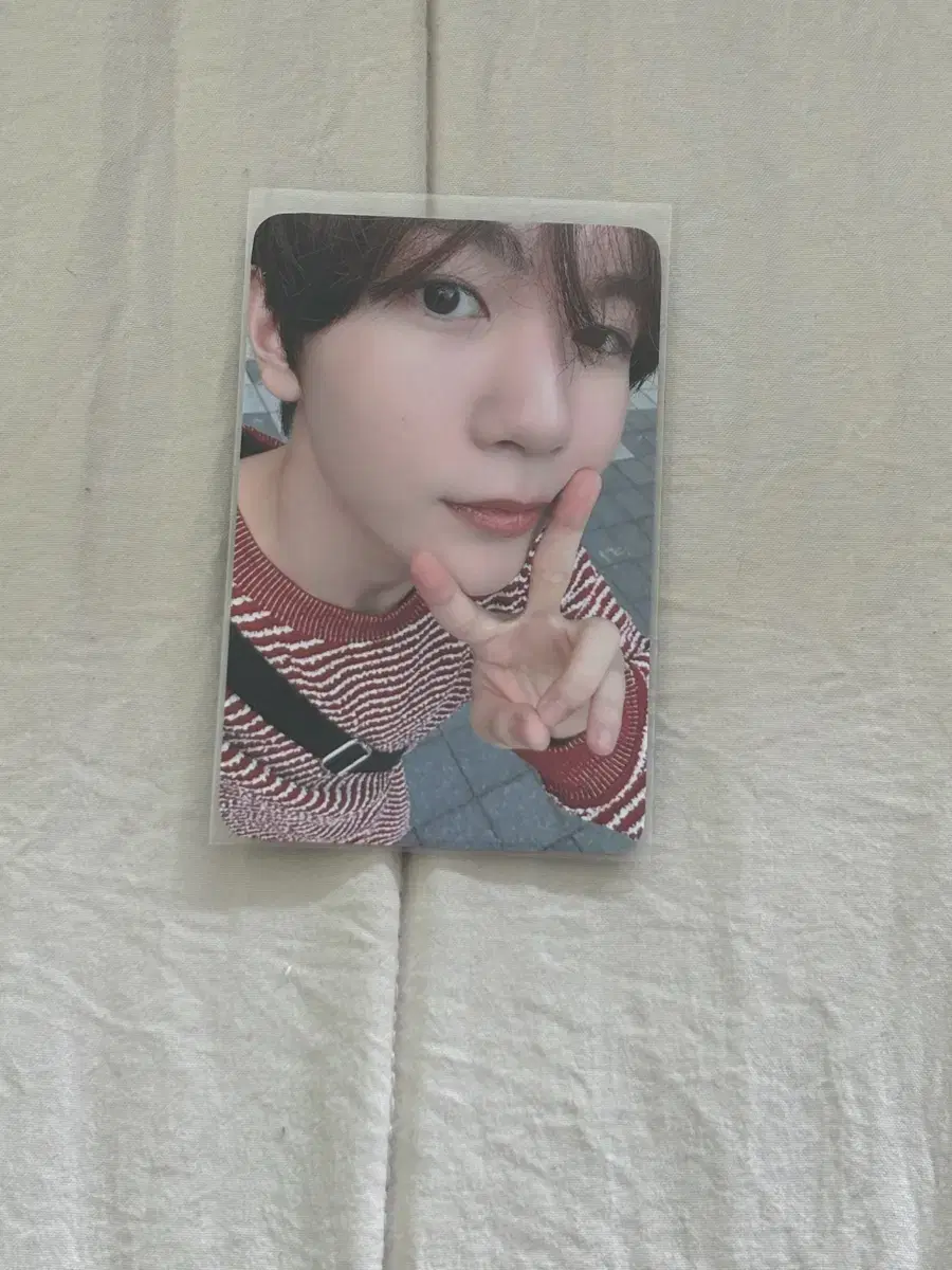 NCT wish Ryo Songbird Dear My Muse Dimamu unreleased photocard LD