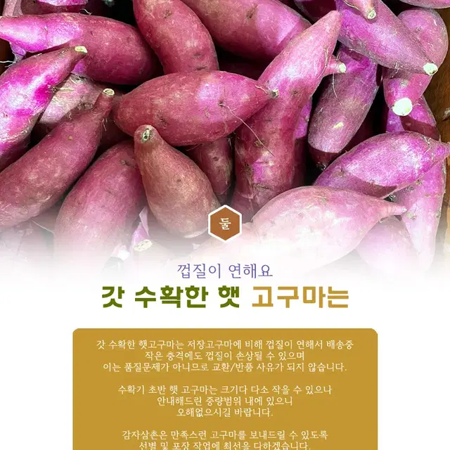 해남세척고구마 밤꿀고구마 햇고구마 (3kg)(한입사이즈)