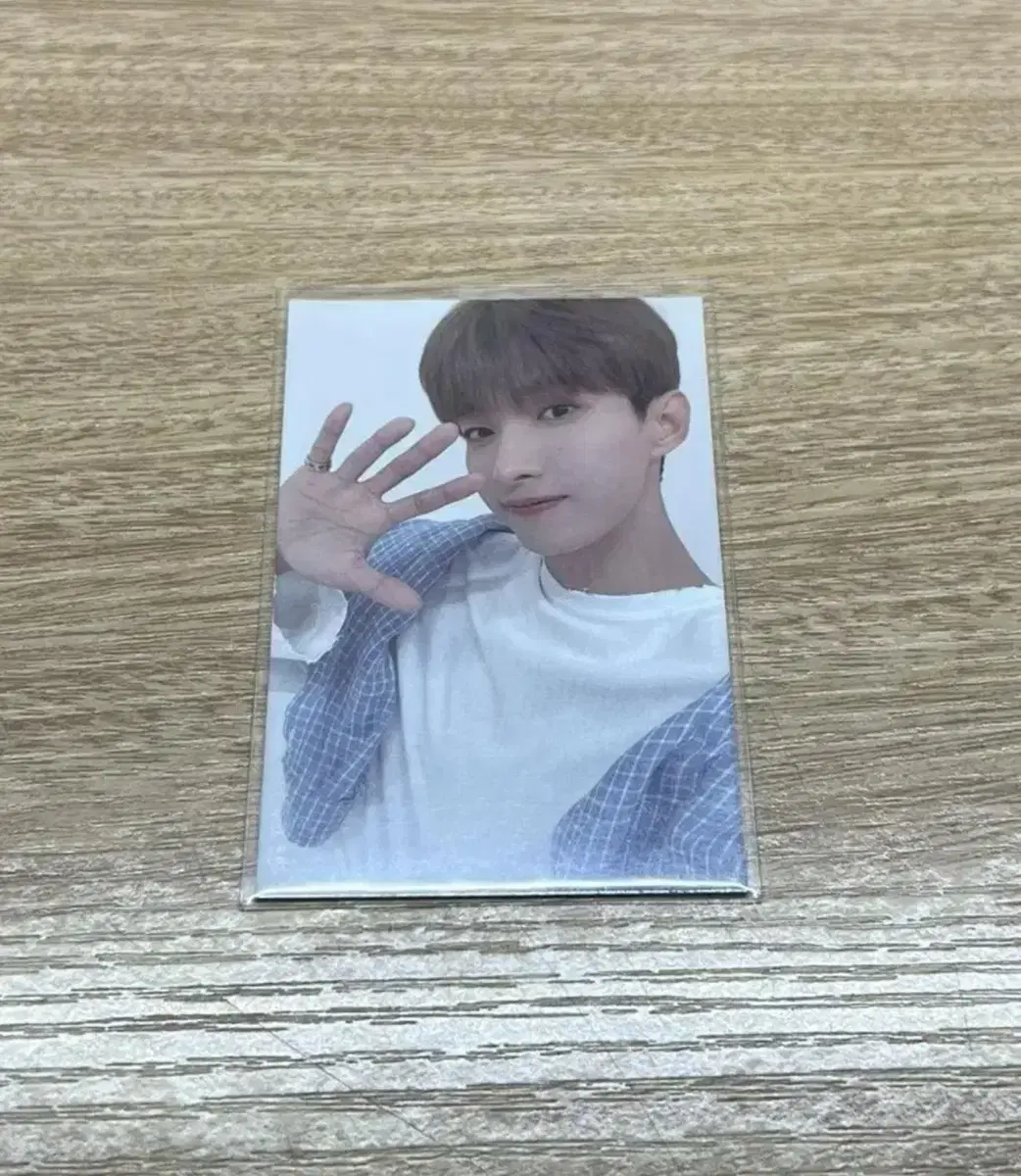 SEVENTEEN dk 2021 Caratland T-Shirt Photo Card WTS