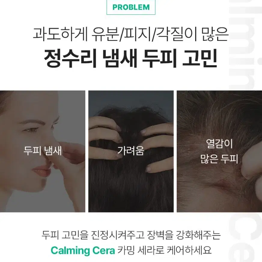 제이숲 카밍세라 정수리 냄새 두피팩