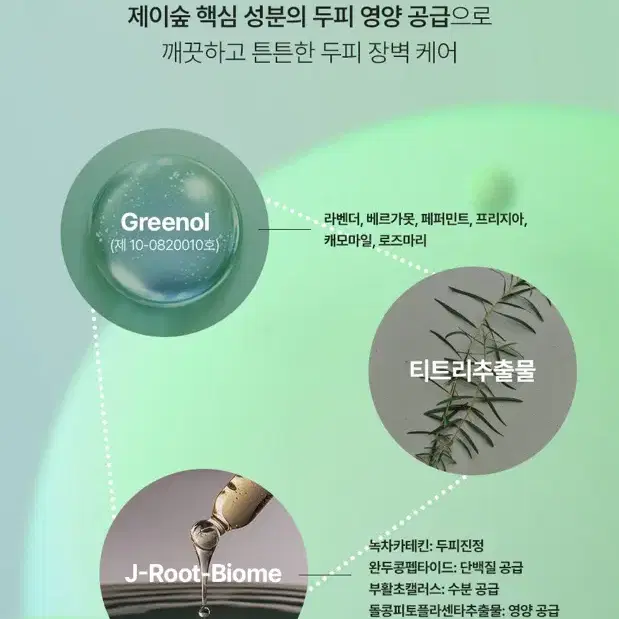 제이숲 카밍세라 정수리 냄새 두피팩