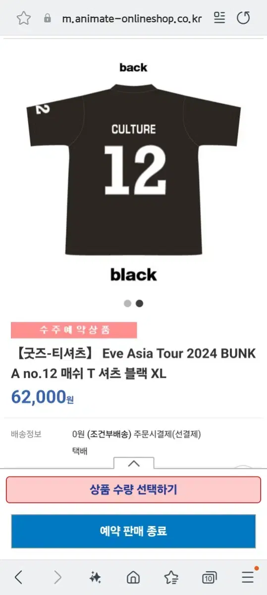 Eve Asia Tour BUNKA 굿즈 매쉬 T 셔츠 XL