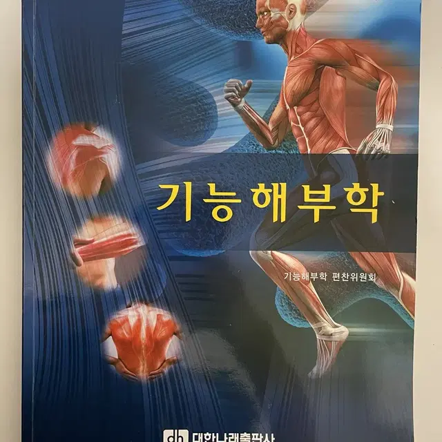 기능해부학