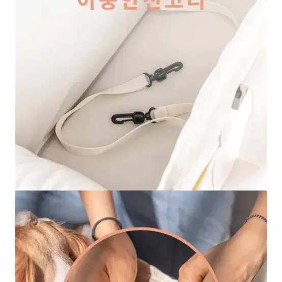 새상품) 디팡 포그니백 강아지가방 이동가방