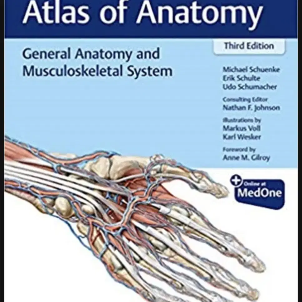 근골격계 THIEME Atlas of Anatomy