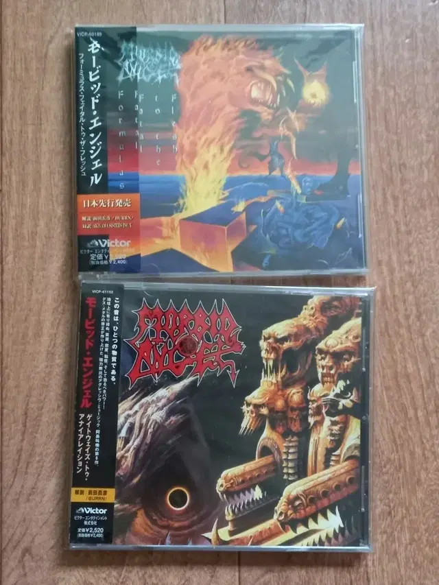 morbid angel cd 일본반 시디