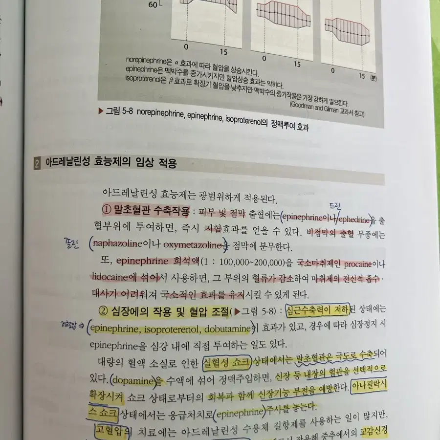 간호학개론/약리학/기본간호 중재와 술기/비판적 사고에 기반한 간호과정