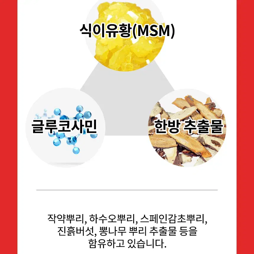 디오마레 스포츠겔 스포츠 크림과 일체형 마사지기