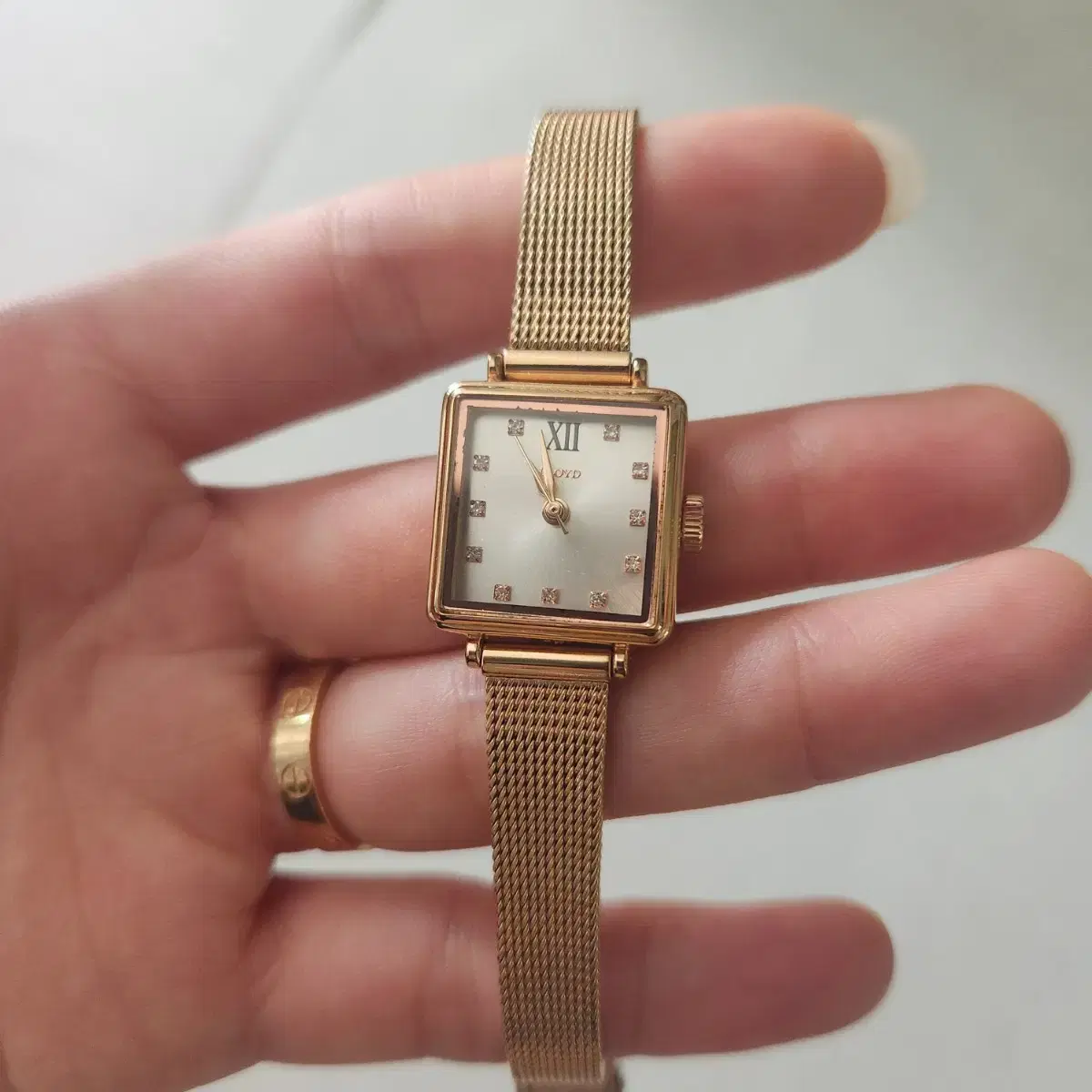 Lloyd Square Mesh Watch