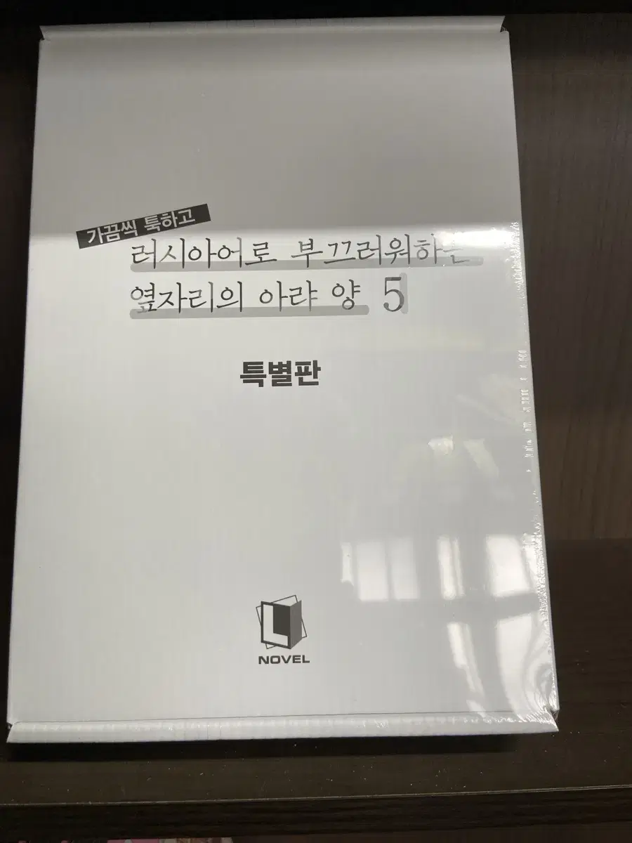 [라노벨] 가끔씩 툭하고 러시아어로 부끄러워하는 옆자리의 아랴 양 5권