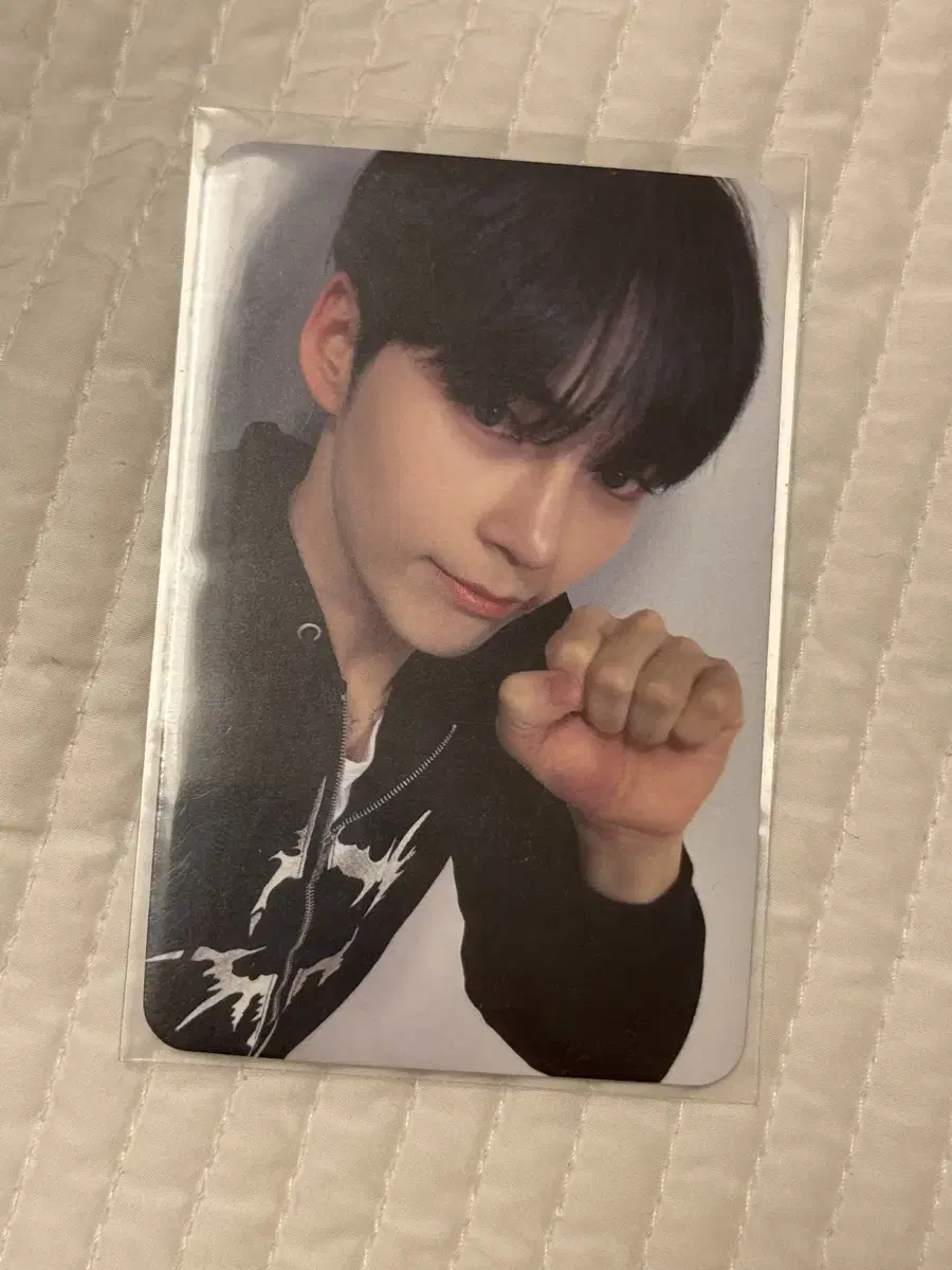 zb1 sung hanbin catson unreleased photocard photocard wts