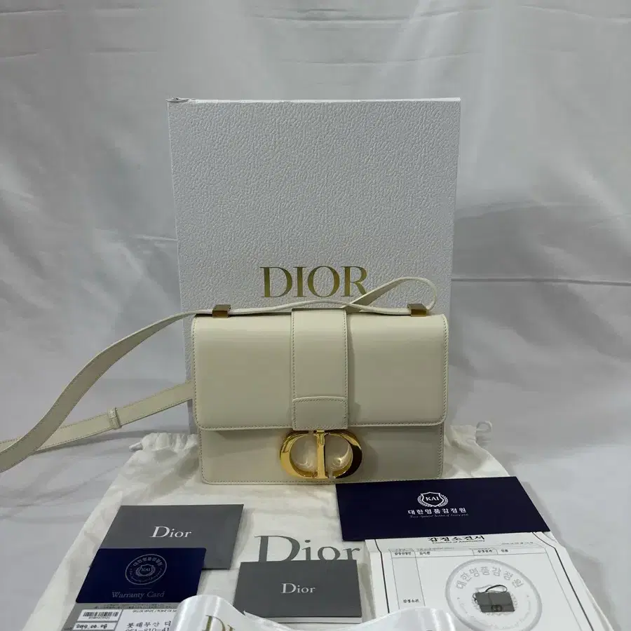 Dior 디올 몽테인 30 레더 박스 숄더백 크로스백 미디움 화이트 골드