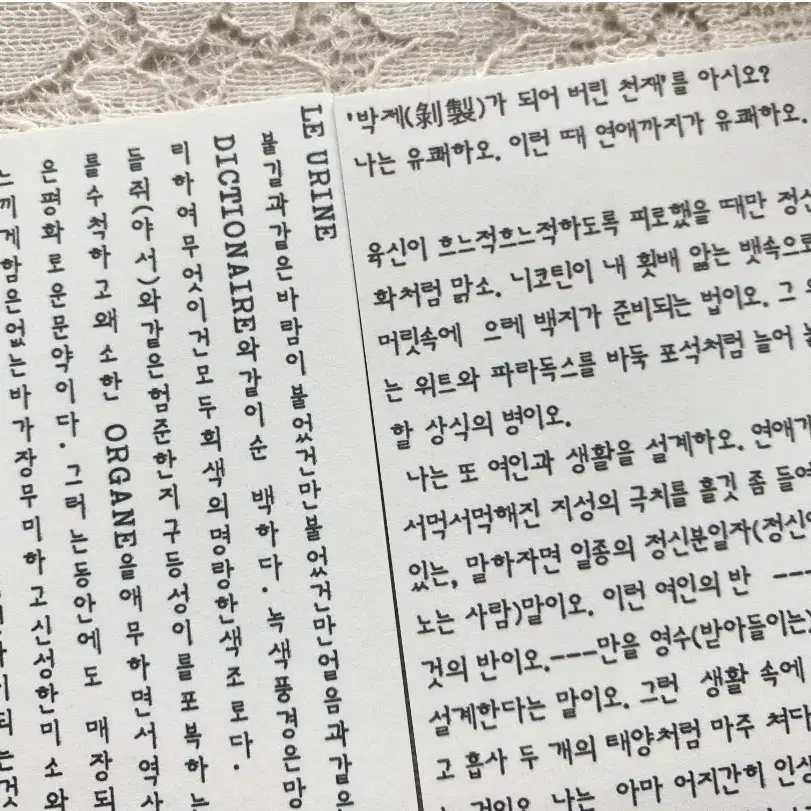 한글 영문 레터링 떡메모지 5종 25매