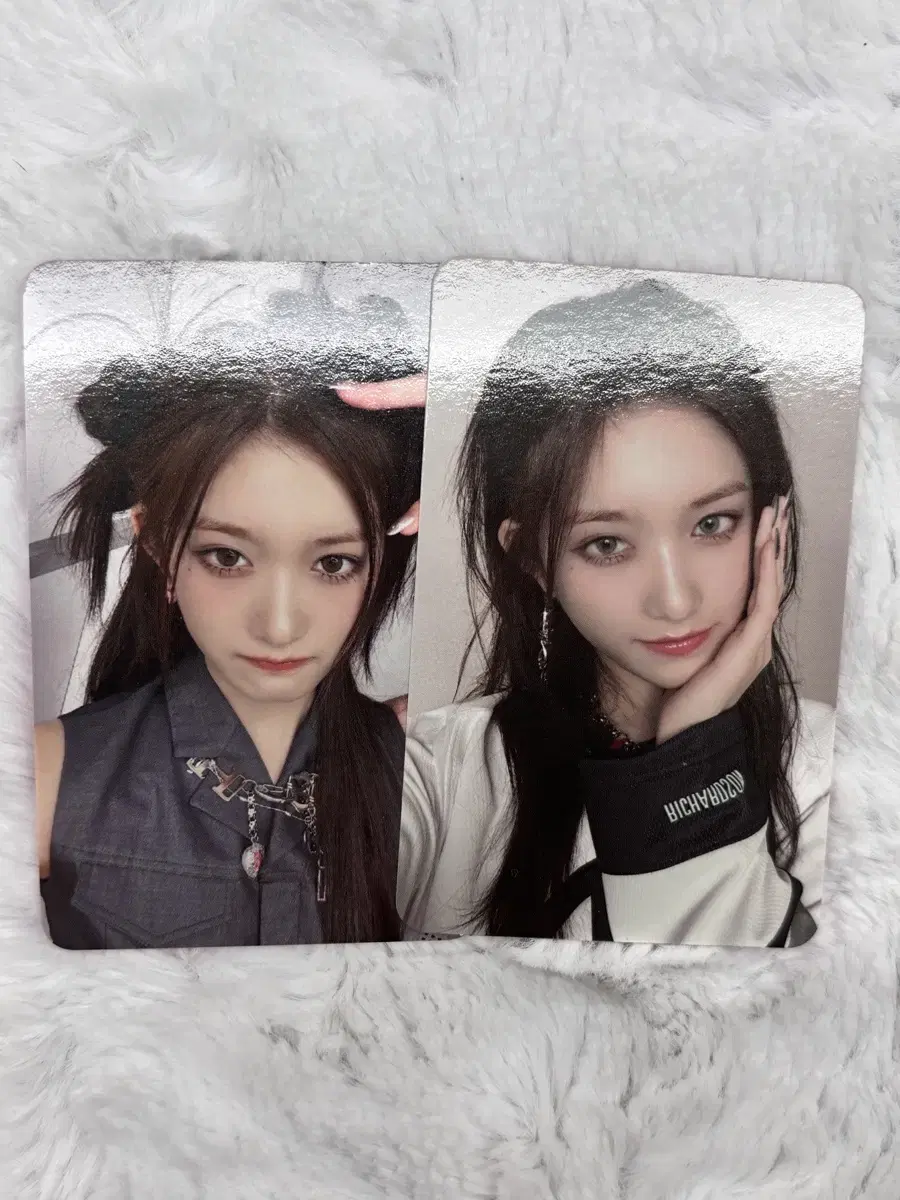 PALVEISER digipack leeseo