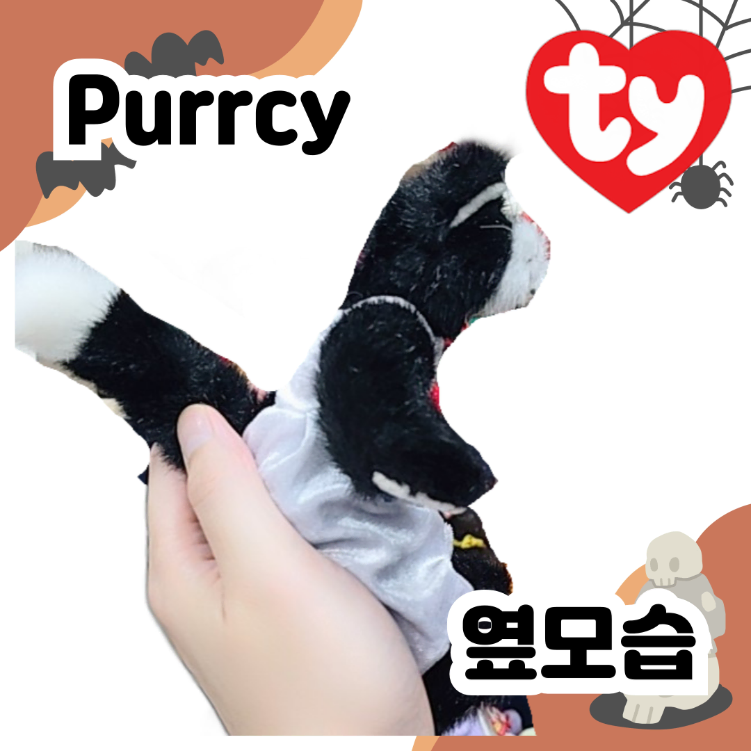 [TY 인형] 깜장고양이 Purrcy!