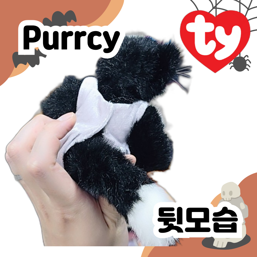 [TY 인형] 깜장고양이 Purrcy!